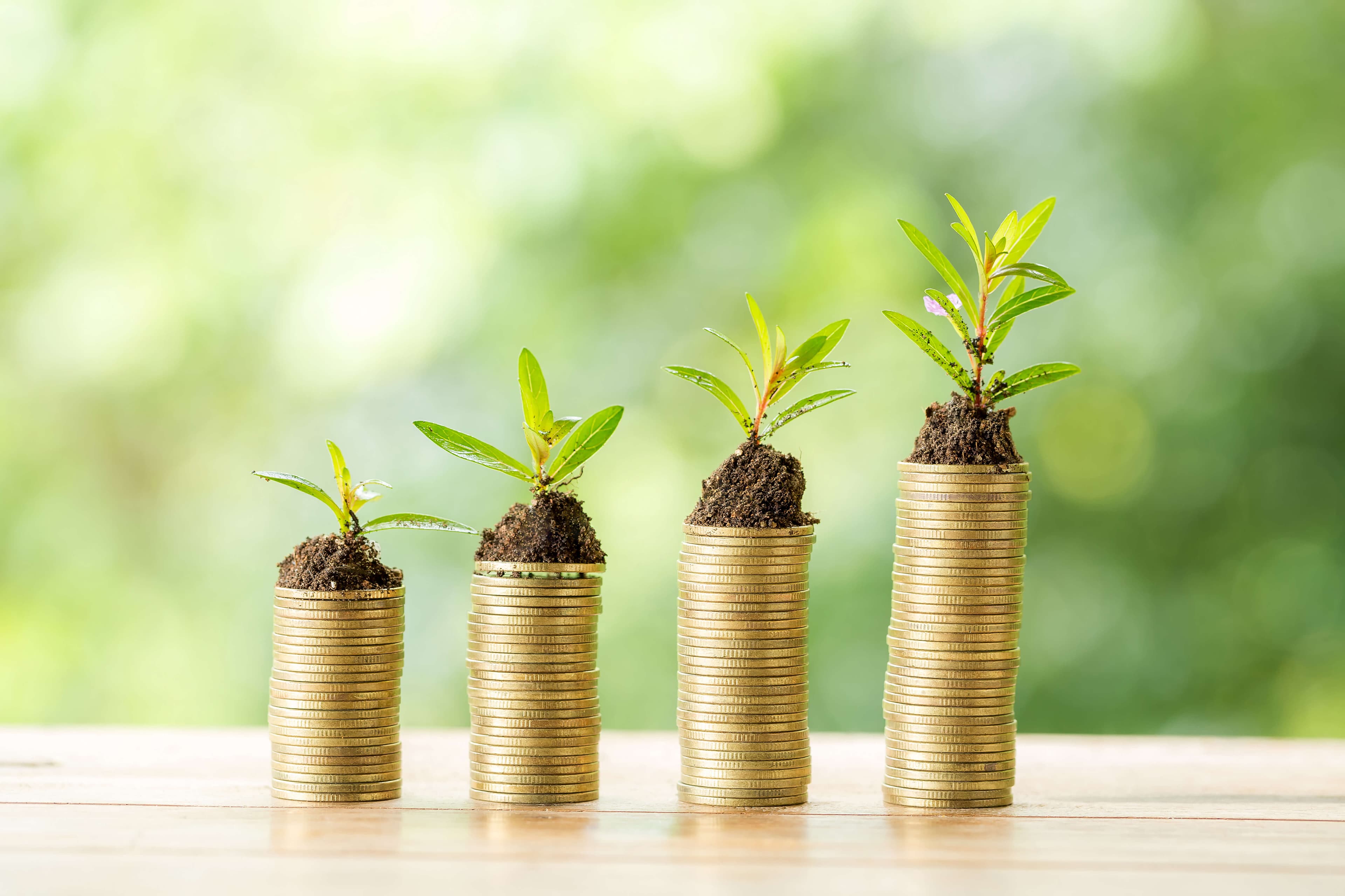 What’s to Know About Mutual Funds?